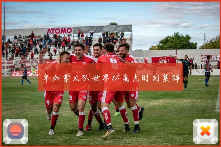 年加拿大队世界杯高光时刻集锦